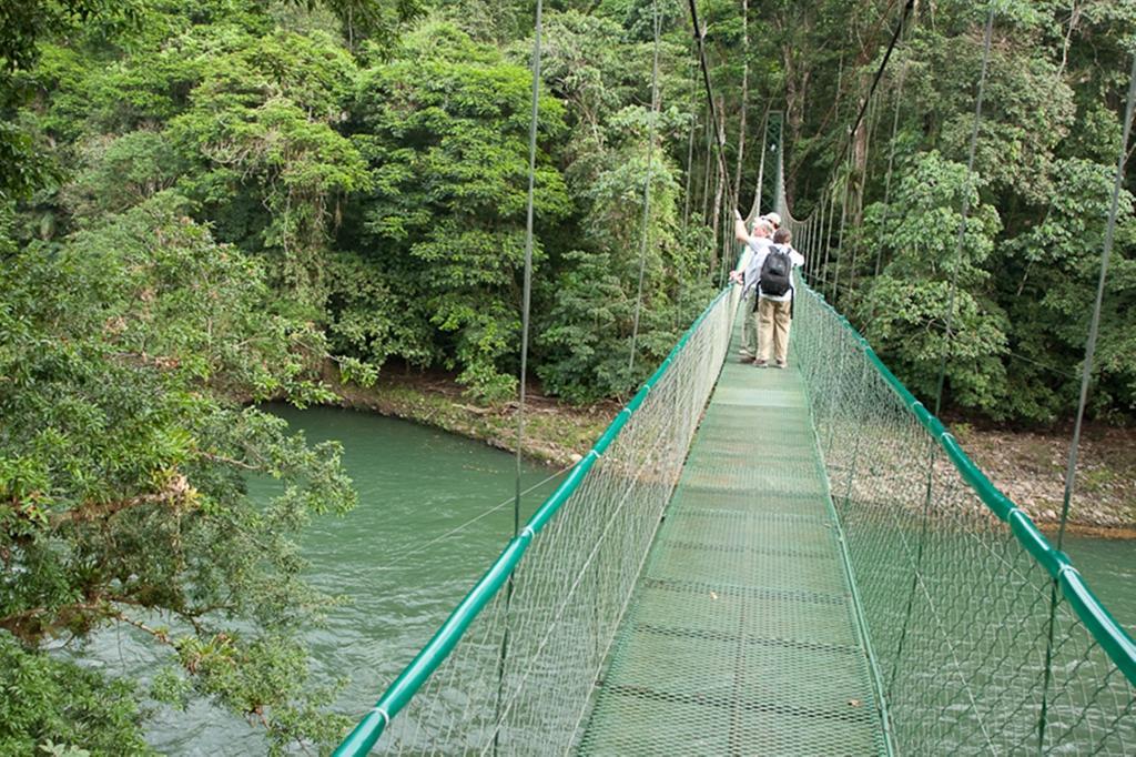 Selva Verde Lodge Sarapiquí Exterior foto